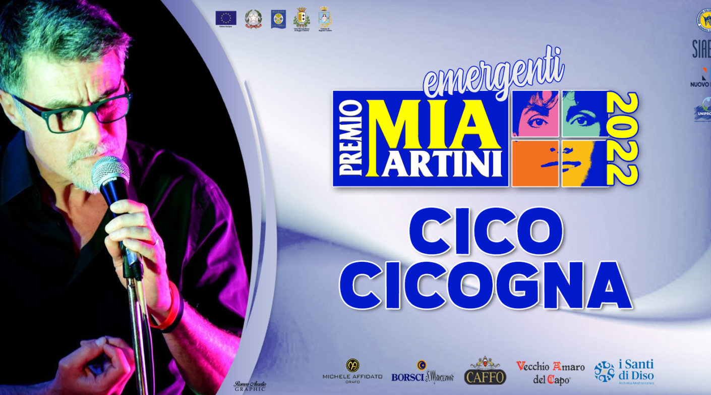 Cico Cicogna - La scelta